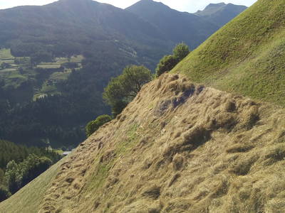 Bild 7 aus  Biobergbauernhof Garmesegg