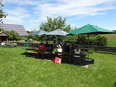 Bild 22 aus  Steigerwaldhof Krafft