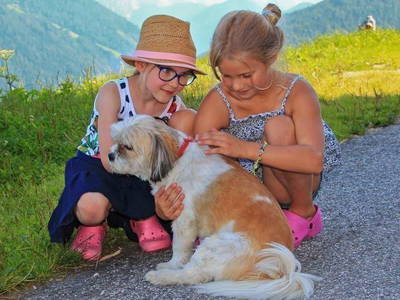 Bild 26 aus  Pirchnerhof