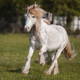 Friederike Meiners Avatar
