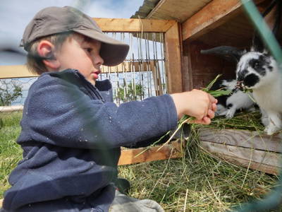 Bild 15 aus  Sonnenlandhof