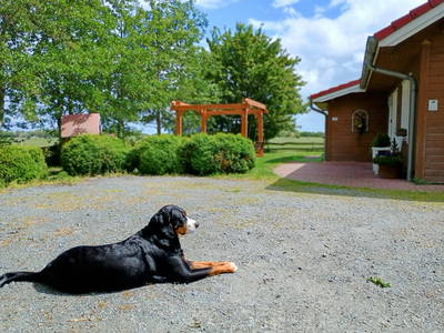 Bild 19 aus  Ferienhof Hasseler