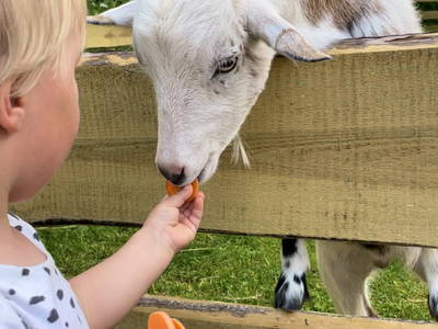 Bild 4 aus  Ferienhof Karin Schwarz