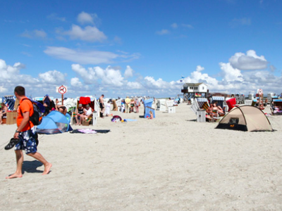 Bild 42 aus  Ferienhof Peter -  Ponys - streicheln, striegeln, füttern  -  Wattwanderungen + ganz viel Nordsee