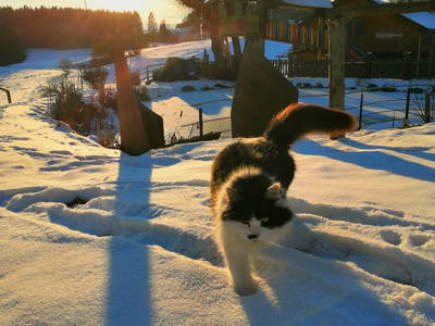 Bild 42 aus  Weidererhof