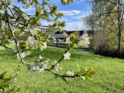 Bild 4 aus  Schelterhof