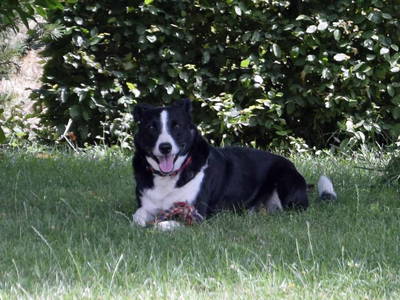 Bild 11 aus  Schmiedshof