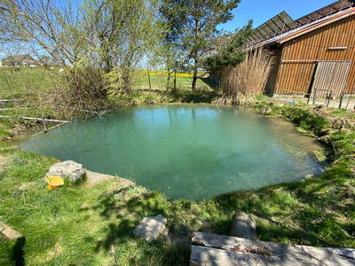 Bild 25 aus  Ferienhof Markhart