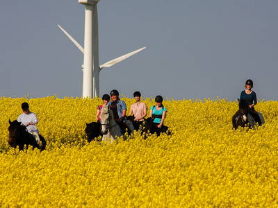 Bild 3 aus  LandSelection Gut Gaarz