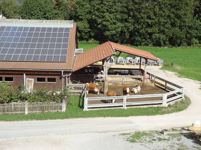 Bild 12 aus  Steigerwaldhof Krafft