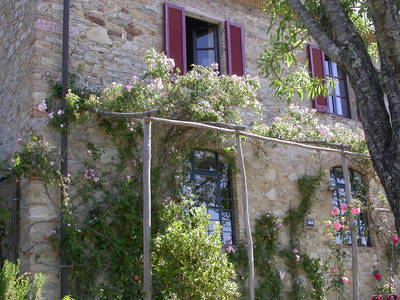 Bild 14 aus  Podere San Giuseppe - altes Bauernhaus mit 3 Wohnungen, Hunde willkommen