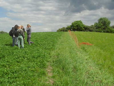 Bild 27 aus  Behringhof am Gamengrund