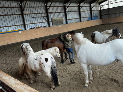 Bild 62 aus  Lindenhof