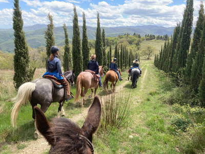 Bild 59 aus  Casa Bivignano