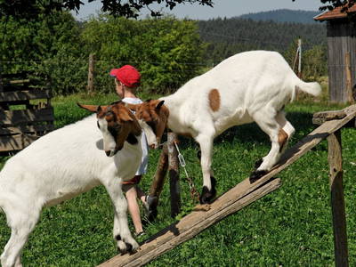 Bild 12 aus  Ferienwohnung Wenzl