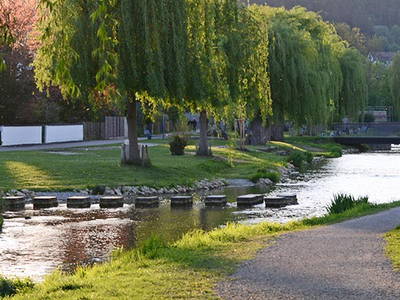 Bild 8 aus  Ferienhof Buchberger