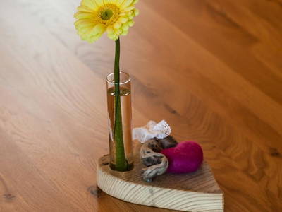 Bild 6 aus  Hierlhof