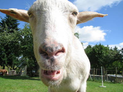 Bild 23 aus  Sonnenlandhof