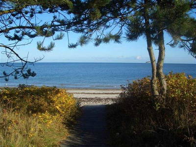 Bild 13 aus  Haus Seestern