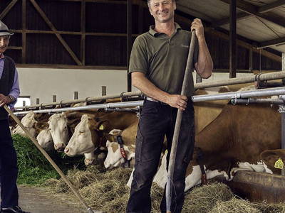 Bild 14 aus  Springerhof