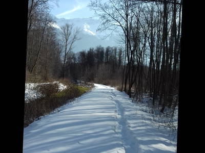 Schneelandschaft im angrenzenden Auenwald