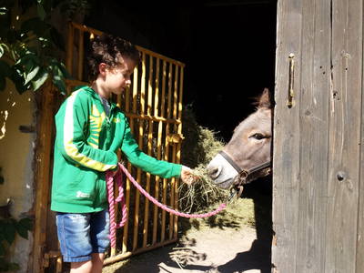 Bild 23 aus  Ferienhof Neudeck