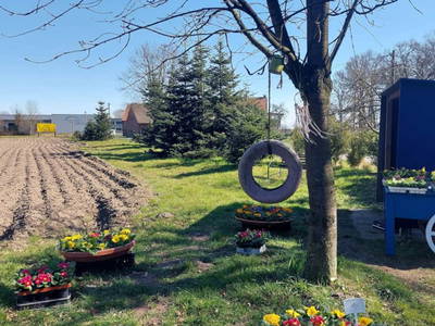 Bild 2 aus  Naturcamping auf unserer Hobby Farm mit Blumenfeld