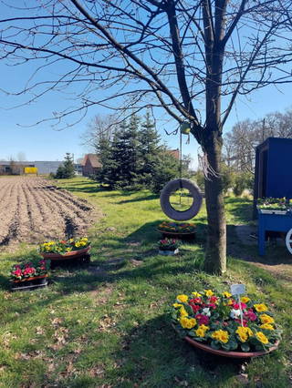 Naturcamping auf unserer Hobby Farm mit Blumenfeld aus Oelde