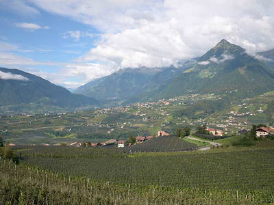 Bild 14 aus  Krebishof