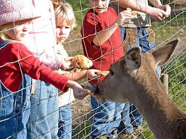 Kinder am Wildgehege