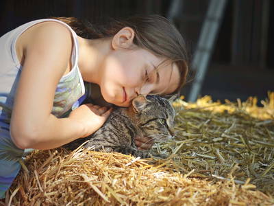 Bild 25 aus  Ponyhof Georgenbruch - Gutshof mit Ferienwohnungen, Pensionsstall und Reitschule