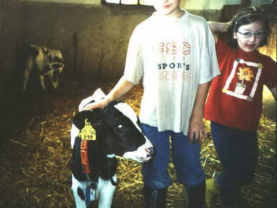 Bild 8 aus  Schmiedshof