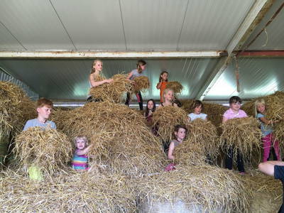 Bild 33 aus  Baustrup Hof