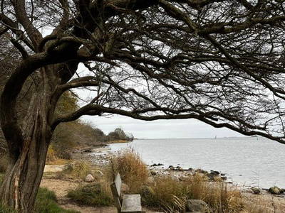 Bild 10 aus  Gut Buckhagen