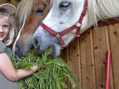 Bild 8 aus  Schingerhof