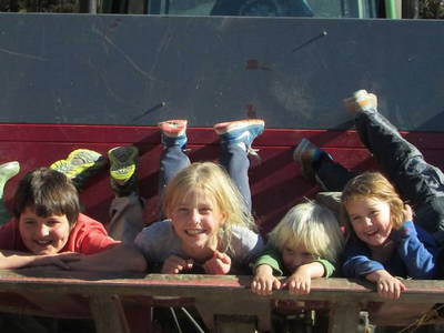 Bild 15 aus  Stoffnerhof