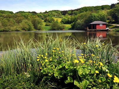 Bild 14 aus  Der Wassermannshof