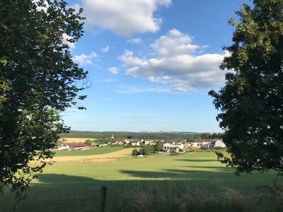 Bild 8 aus  Görgenhof - Gnadenhof für Bauernhoftiere