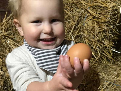 Bild 15 aus  Ferienhof Schlünzen