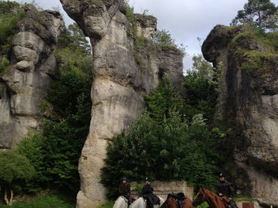 Bild 20 aus  Arabian Harmony