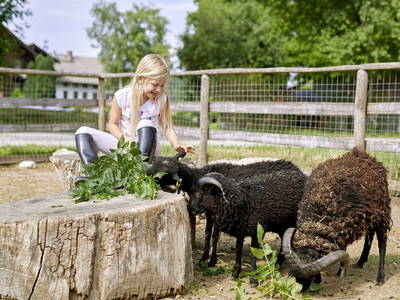 Bild 18 aus  Wastleicherhof am Chiemsee