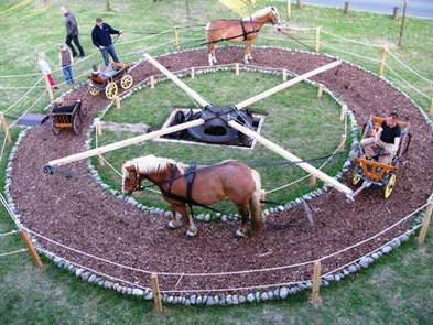 Bild 8 aus  Hof Grüneberg