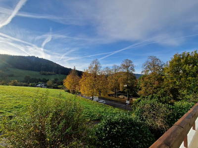 Bild 26 aus  Villa Schwarzwaldblick