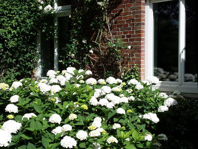 Bild 13 aus  Nase im Wind