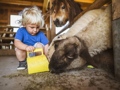 Bild 6 aus  LandSelection Moierhof am Chiemsee - Ferienhof des Jahres
