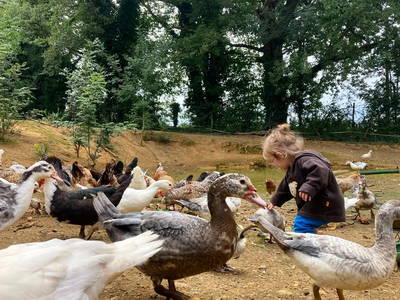 Bild 7 aus  Le Colombié - Ferienhäuser an der Dordogne mieten