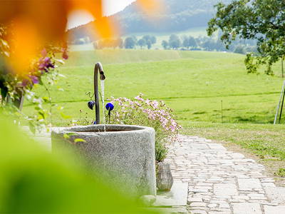 Bild 20 aus  Hof Gottenau