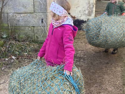 Bild 14 aus  Arabian Harmony