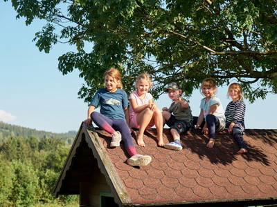 Bild 9 aus  Wenighof