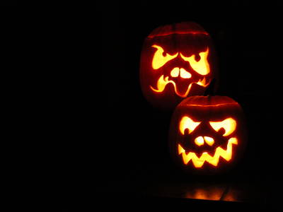 Bild 25 aus  Hof Sassen